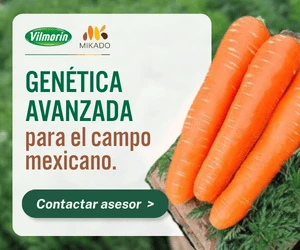 semillas que garantizan tu cosecha