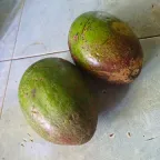 Dos aguacates criollos de cáscara delgada, verde con manchas moradas, sobre un piso de mosaico