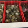 Almejas con concha en canastas de plástico rojas en un puesto de mariscos