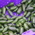 Chiles jalapeños verdes y brillantes amontonados en una caja de plástico morada