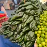 Chiles poblanos verde oscuro amontonados en un puesto del mercado de Metepec, Estado de México
