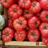 Jitomates bola, redondos y grandes, acomodados en una caja en un puesto de frutas y verduras
