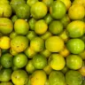 Limones persa verdes y amarillentos, grandes y sin semilla, amontonados para su venta
