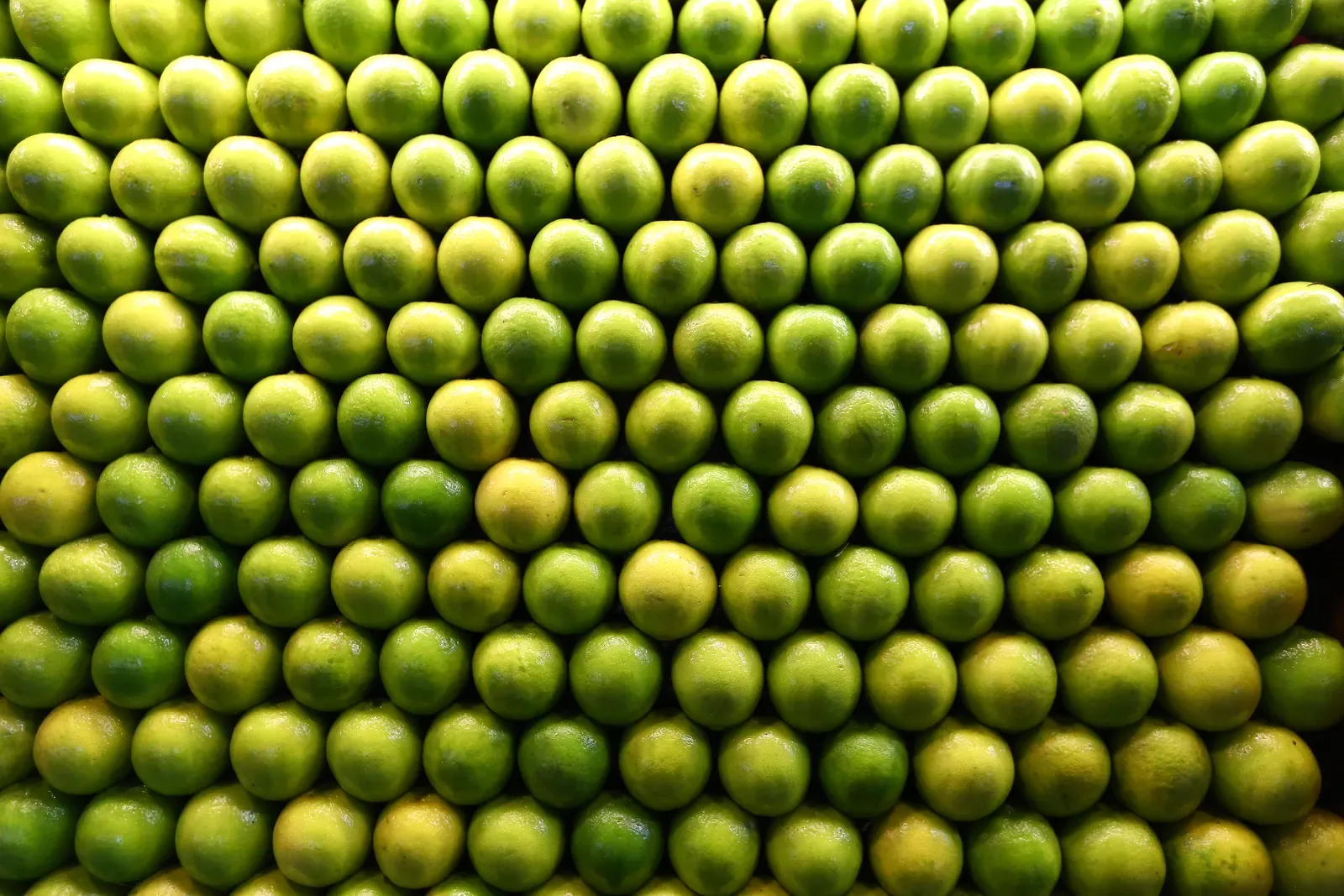 Pirámide de limones verdes apilados en un puesto de la Central de Abasto de la Ciudad de México
