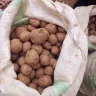 Papas de cáscara café en un costal blanco abierto en un puesto de mercado
