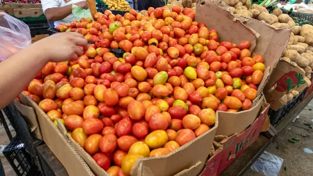 Caja de cartón con jitomate saladette en un puesto del Mercado Alianza de Torreón, Coahuila