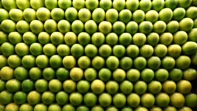 Pirámide de limones verdes apilados en un puesto de la Central de Abasto de la Ciudad de México