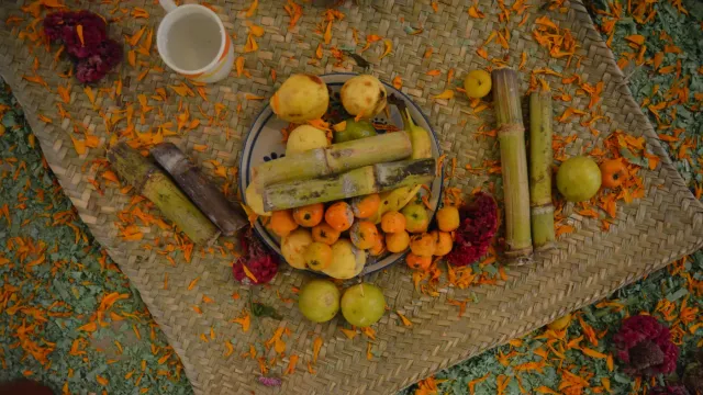 Tejocotes, guayabas y trozos de caña sobre un petate con pétalos de cempasúchil, fruta típica de la ofrenda de Día de Muertos