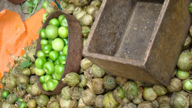 Tomates verdes con y sin capuchón a granel en un recipiente metálico, sobre más tomatillos en un mercado de México